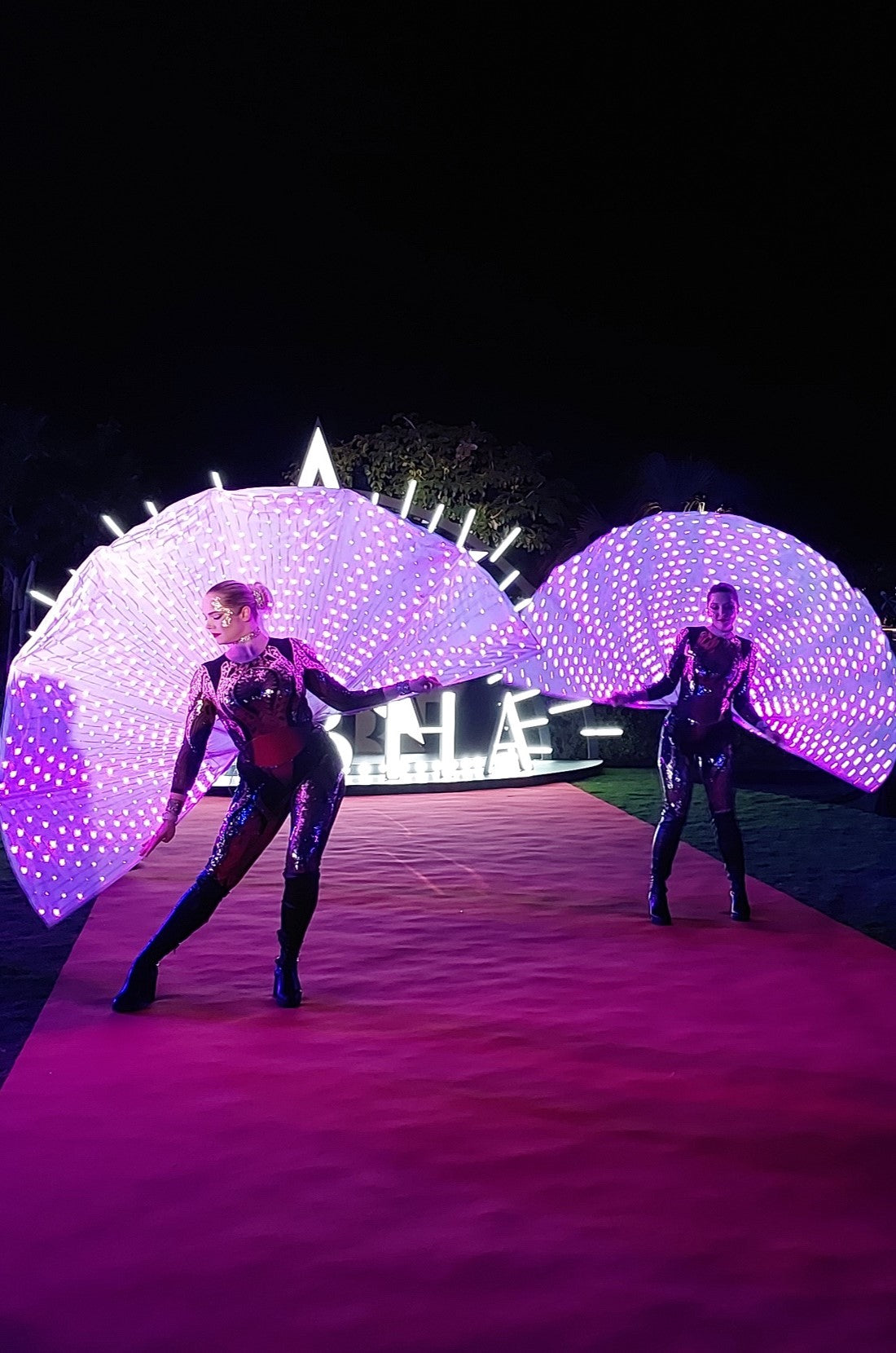 Digital LED fan by Elegant Arts