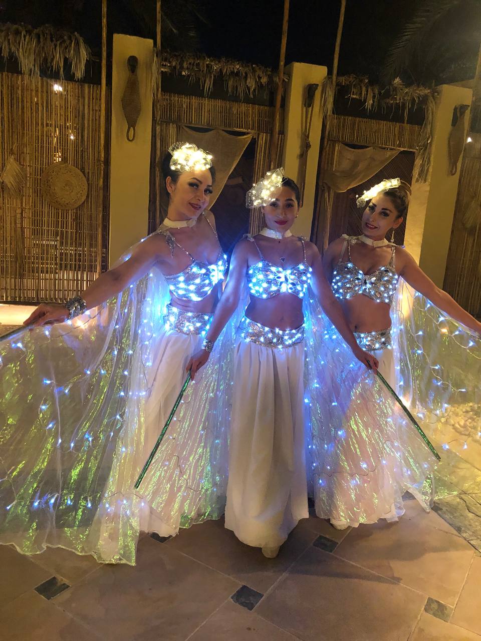 LED fairy dancers by Fidelio Arts