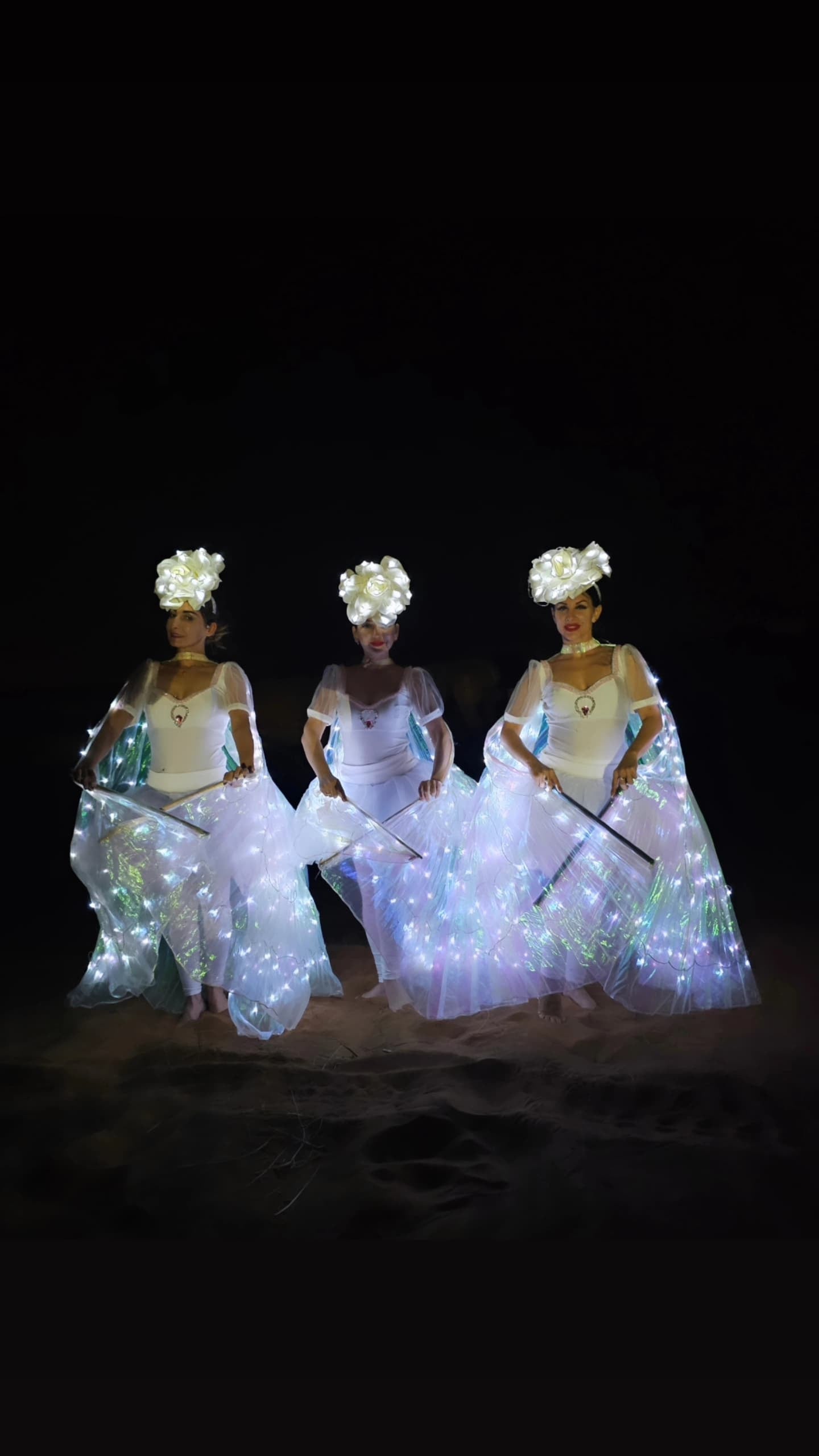 LED Fairy Wings Dancers