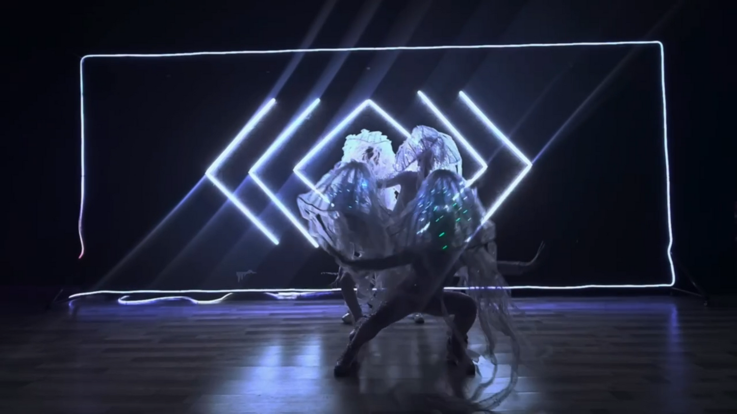 LED jellyfishes