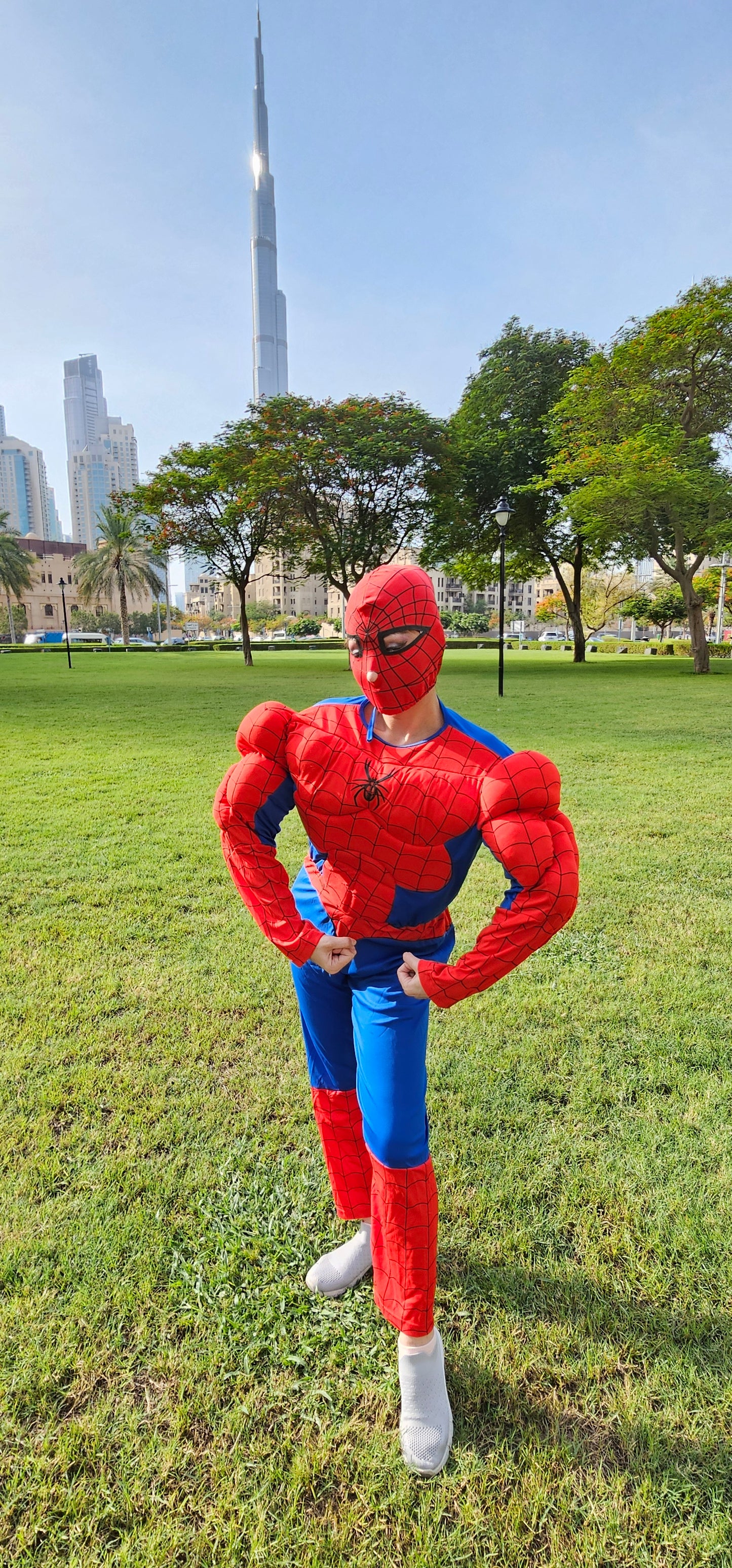 Spiderman roaming character