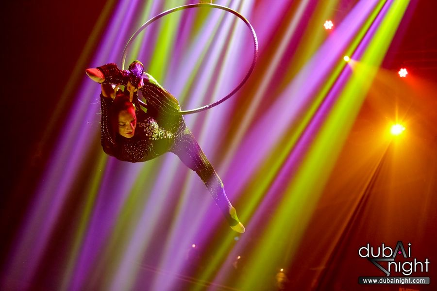 Aerialist