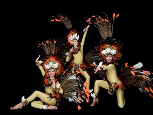 Afro–Latino dance show by Elegant Arts