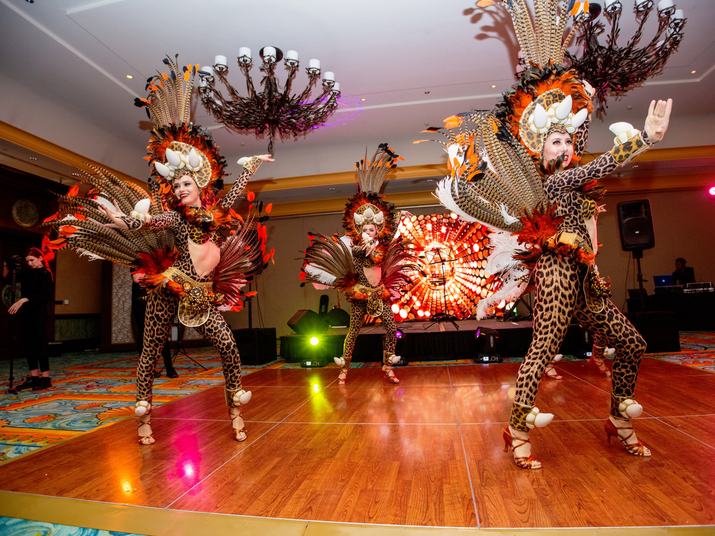 Afro–Latino dance show by Elegant Arts