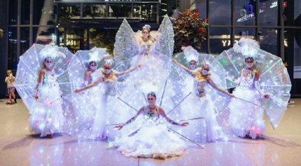 Crystal LED Fairies parade