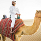 Camel Ride by Abu Muhammed