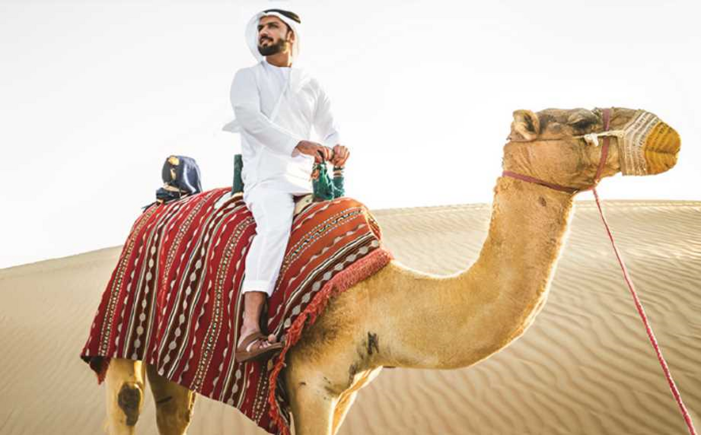 Camel Ride by Abu Muhammed