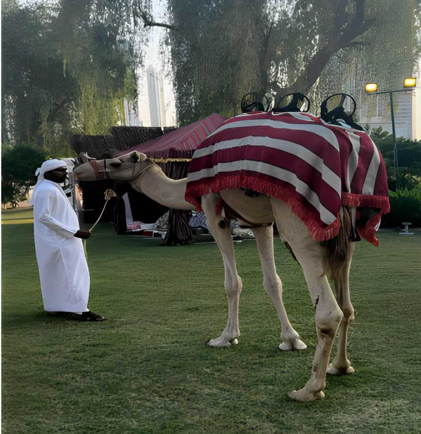 Camel Ride by Abu Muhammed