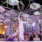 Chandeliers- Sparkling Tannoura