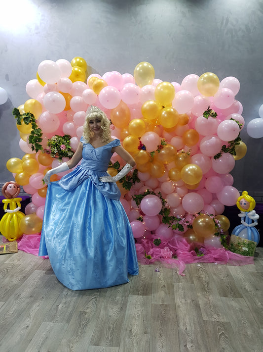 Cindrella roaming characters