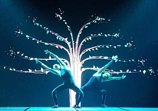 Dance with screens by Elegant Arts