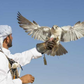 Falcon Person By Abu Muhammed