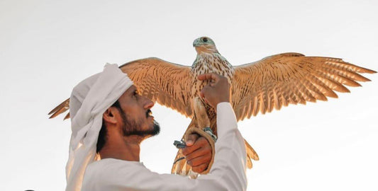 Falcon Man by Abdullah Mahar