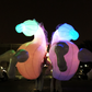 Inflatable Horses