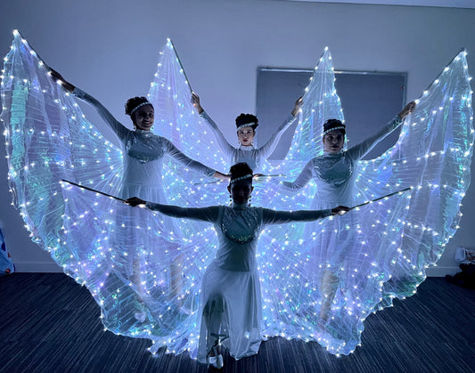 LED Wings Dance