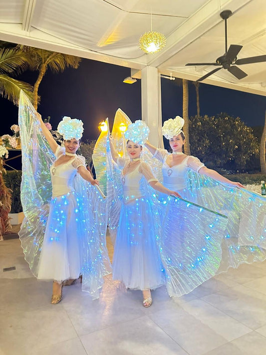 LED fairy dancers by Fidelio Arts