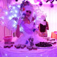 LED White Strolling Table Ladies