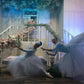 LED Ballet  by Elegant Arts