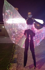 LED STILT WINGS
