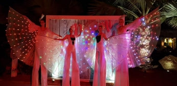 LED STILT WINGS