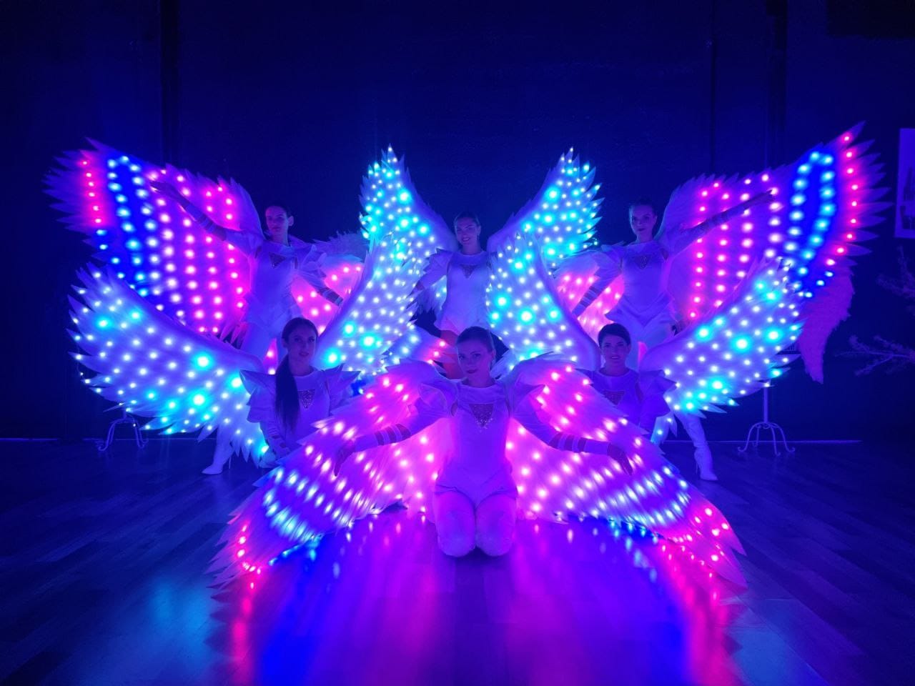 LED wings