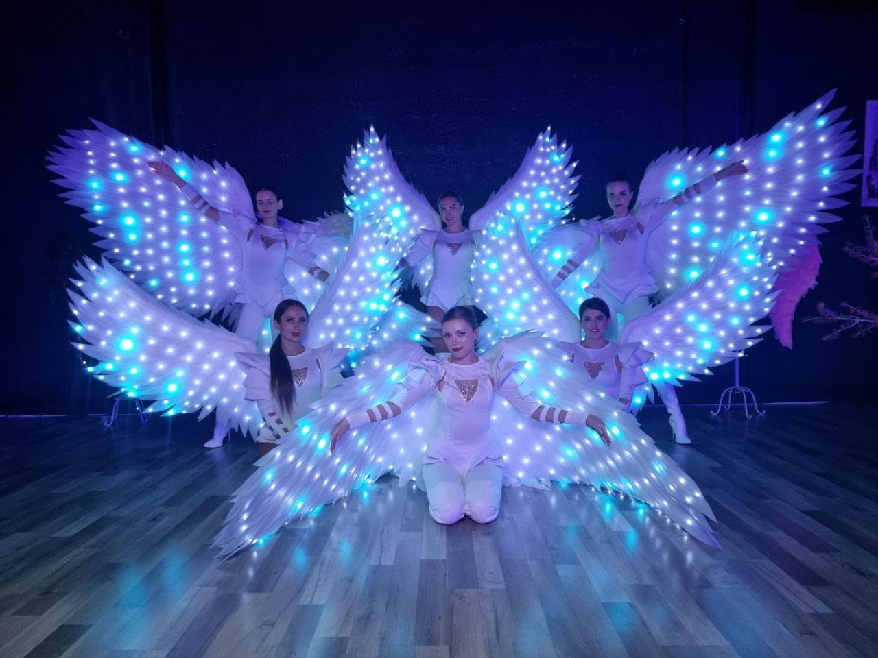 LED wings