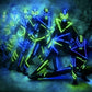 LED show