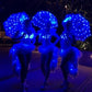 LED umbrella girls