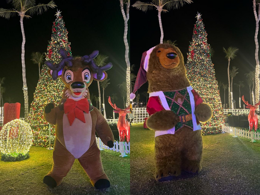 Reindeer and Brown Bear Mascot