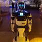 Humanoid Robots by Natallia- Elegant Arts