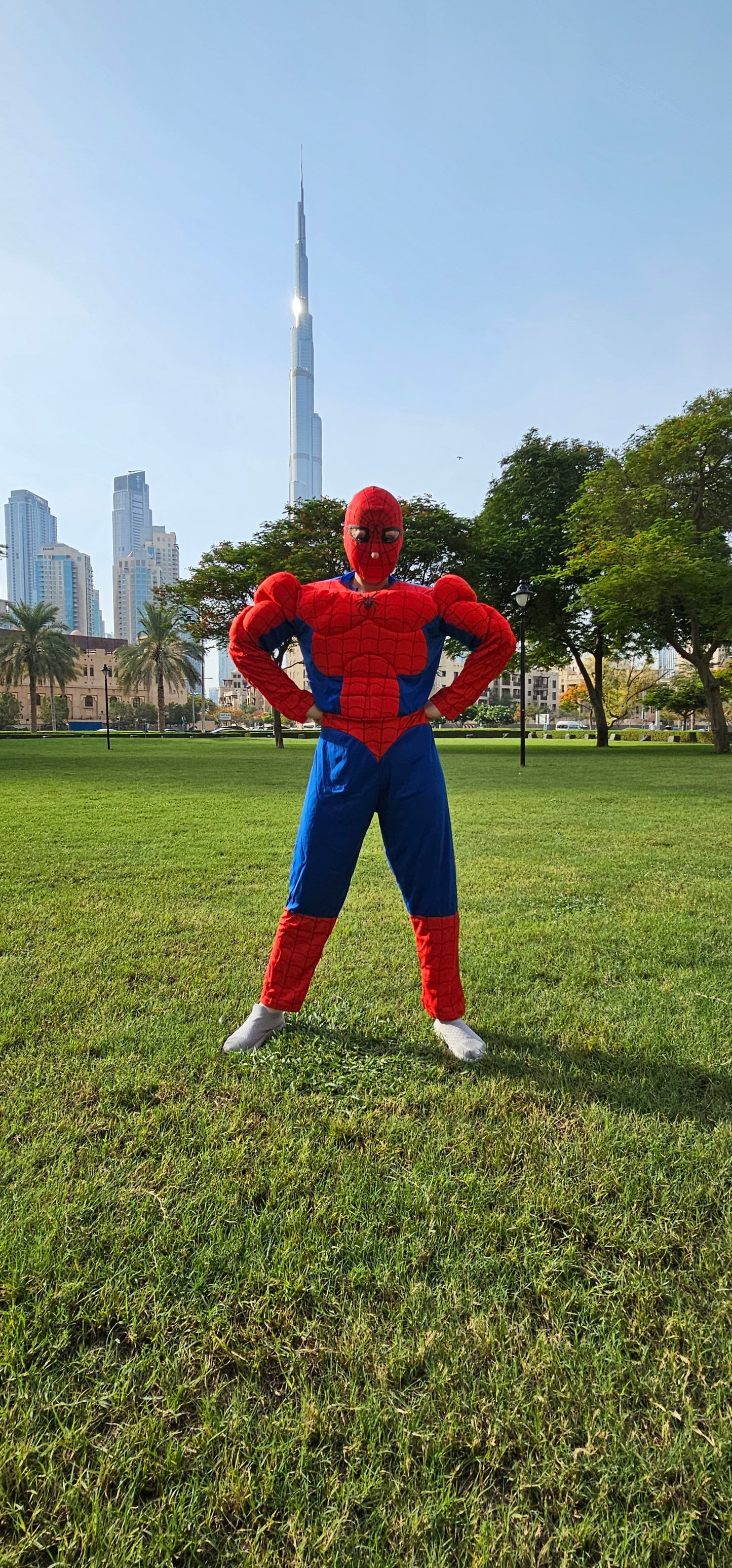 Spiderman roaming character