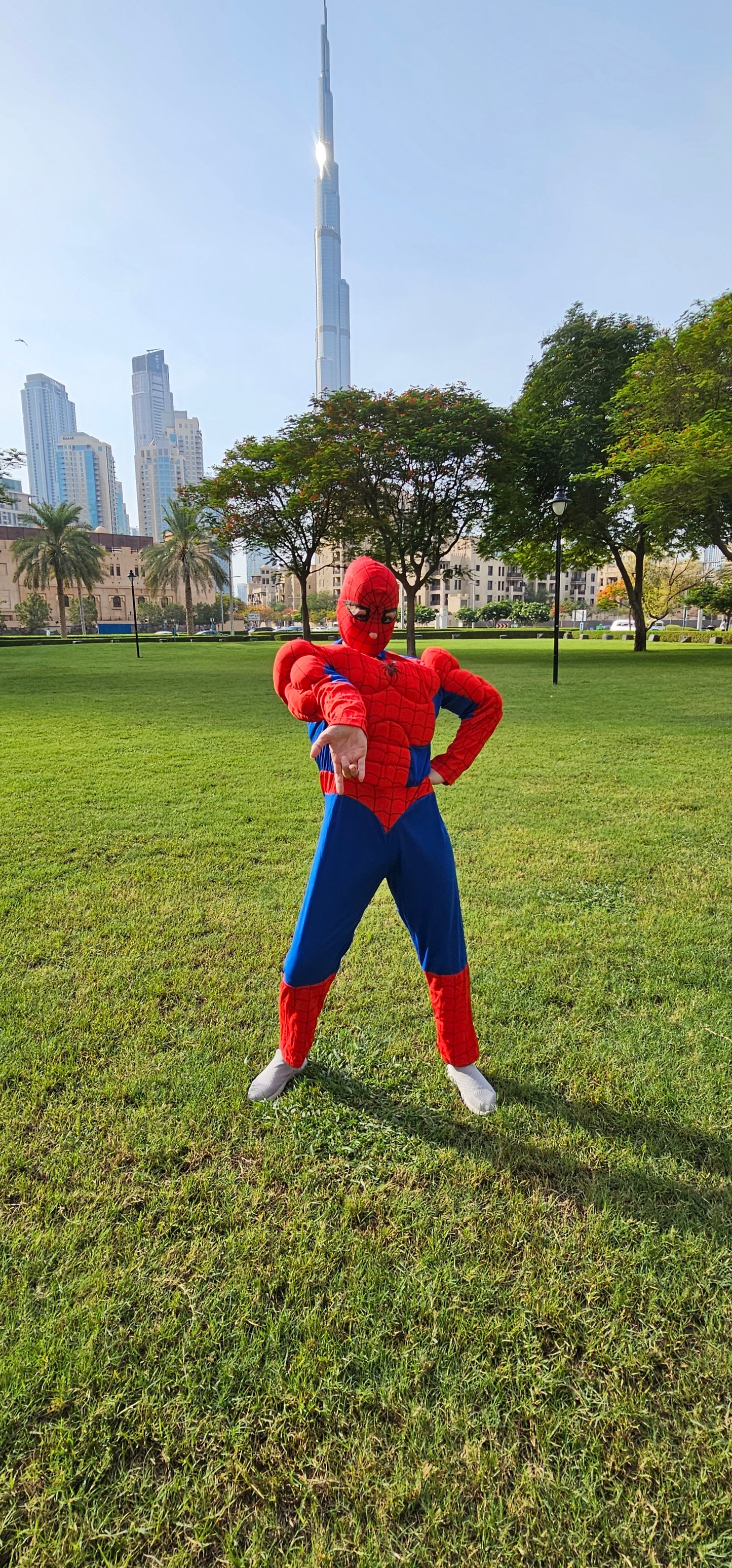 Spiderman roaming character