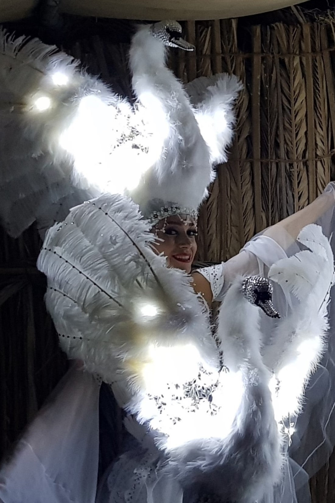Swan dancers by Elegant Arts