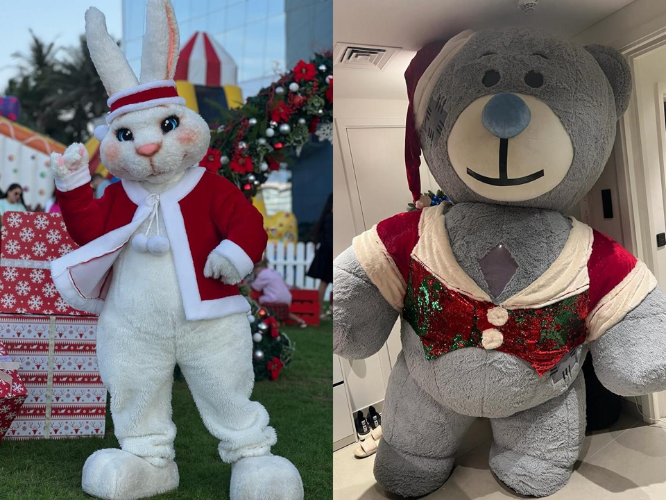 White Bunny and Grey Bear Mascot