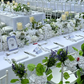 Chiavari Chairs
